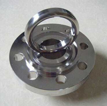 Hastelloy C22 Ring Type Joint Flanges