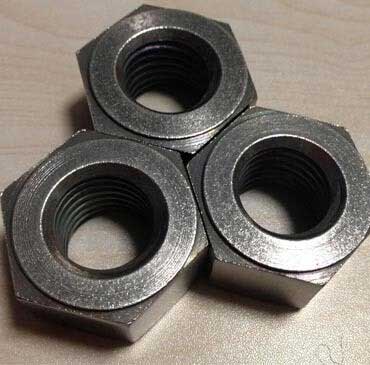 Stainless Steel Nuts