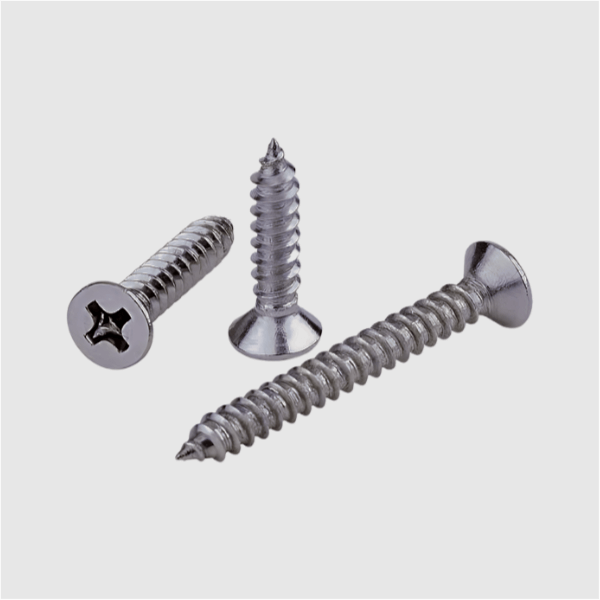 ASTM A 193 SS 310 Screw